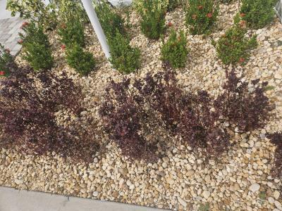 Photo 4 of 41 of home located at 1992 Douglas Lane Lot 292 Tarpon Springs, FL 34689