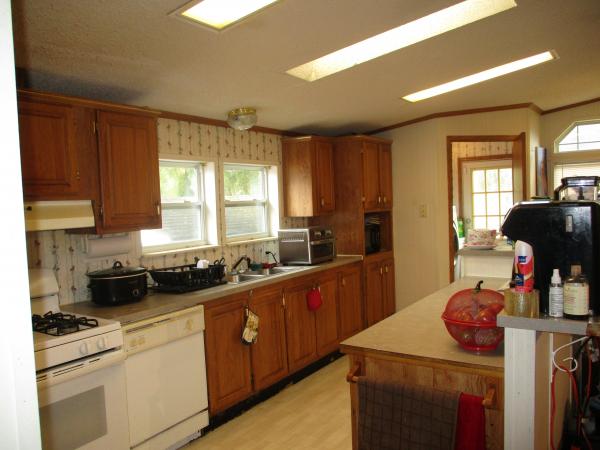 1995 Skyline Mobile Home