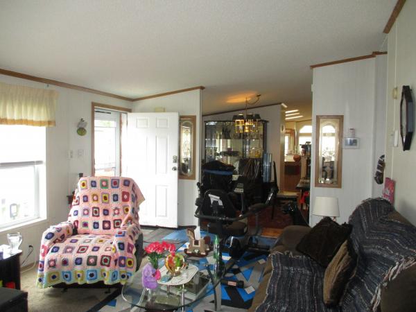 1995 Skyline Mobile Home