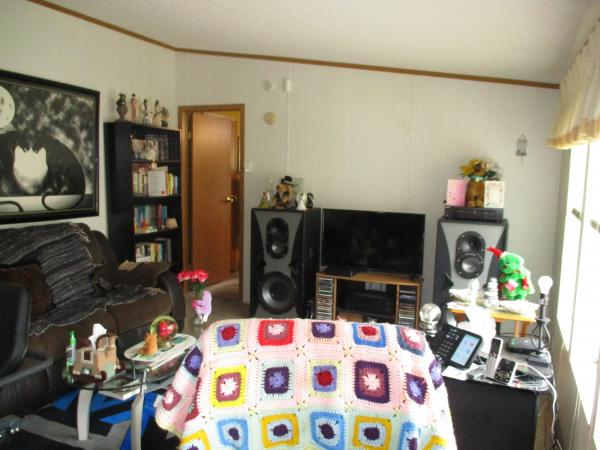 1995 Skyline Mobile Home