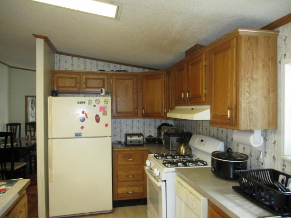 1995 Skyline Mobile Home