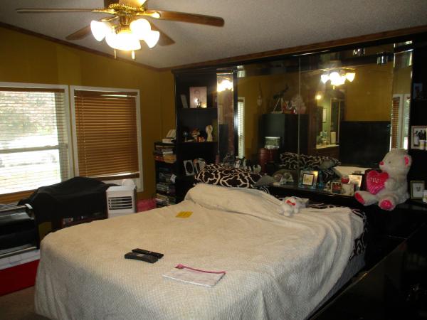 1995 Skyline Mobile Home