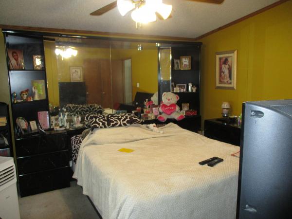 1995 Skyline Mobile Home