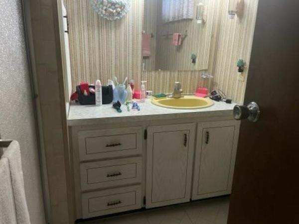 1973 Holi Mobile Home