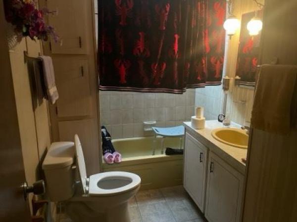 1973 Holi Mobile Home