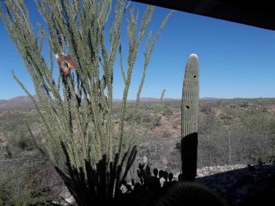 Photo 5 of 24 of home located at 15301 N. Oracle Road #28 Tucson, AZ 85739