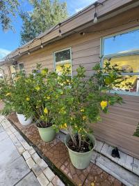 Manufactured Home