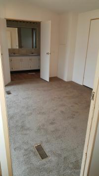 1996 Skyline Winner Mobile Home