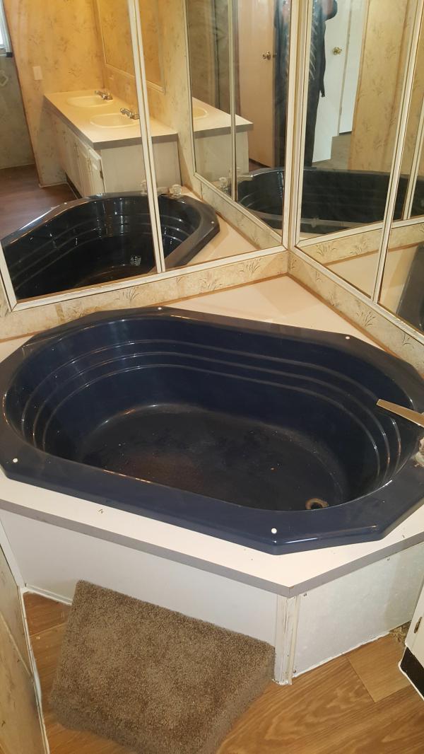 1996 Skyline Winner Mobile Home