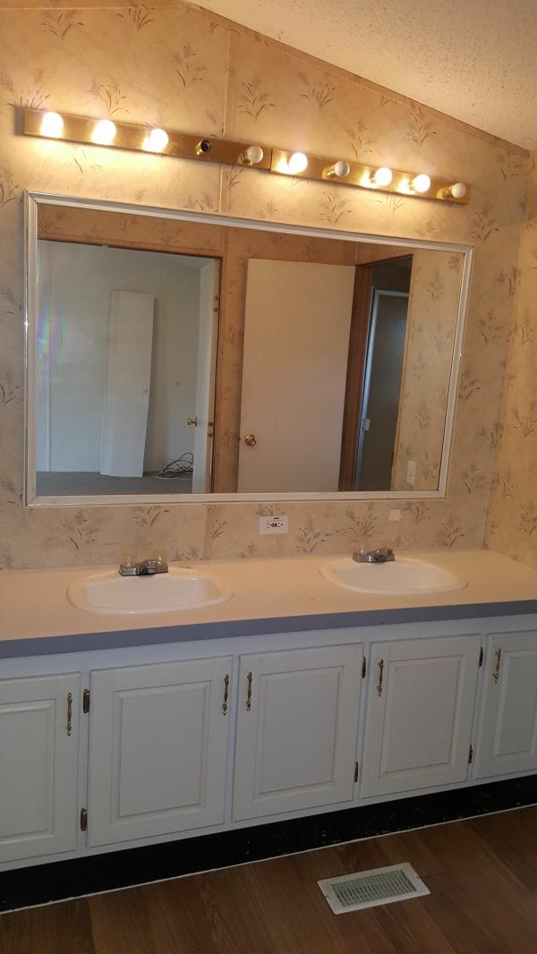 1996 Skyline Winner Mobile Home