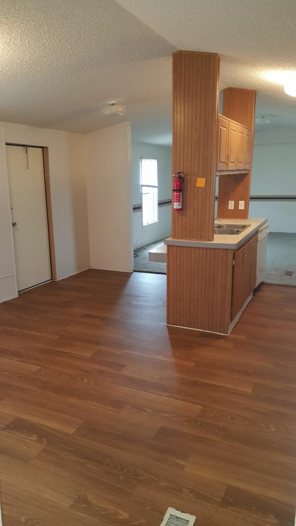 1996 Skyline Winner Mobile Home