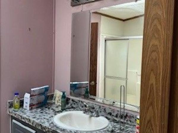 2001 SKYLINE Mobile Home