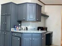 2001 SKYLINE Mobile Home