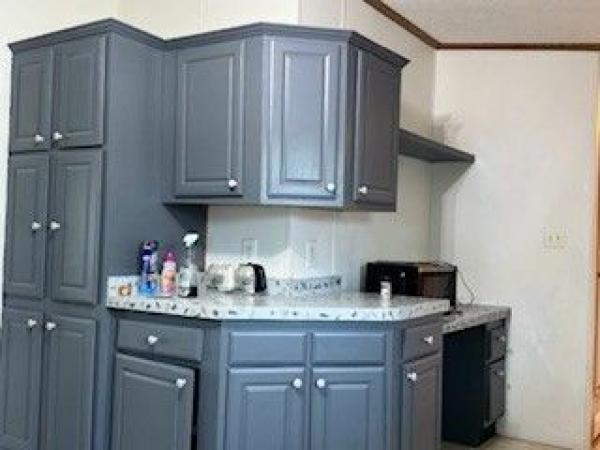 2001 SKYLINE Mobile Home