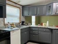 2001 SKYLINE Mobile Home