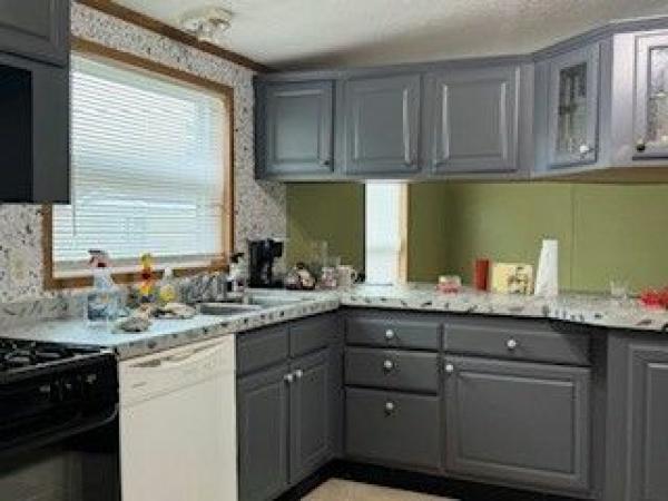 2001 SKYLINE Mobile Home
