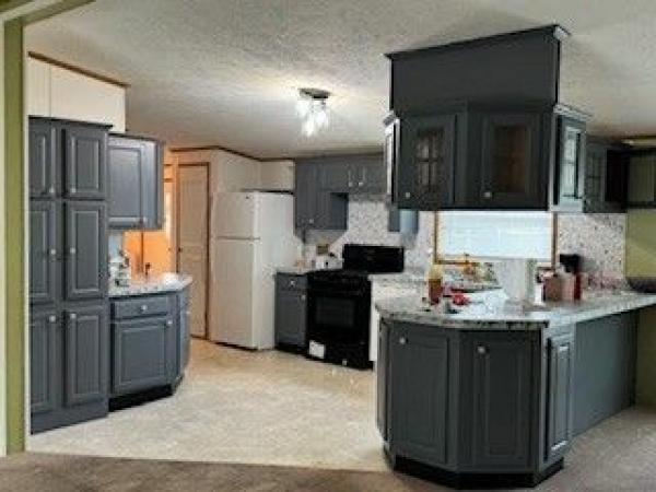 2001 SKYLINE Mobile Home