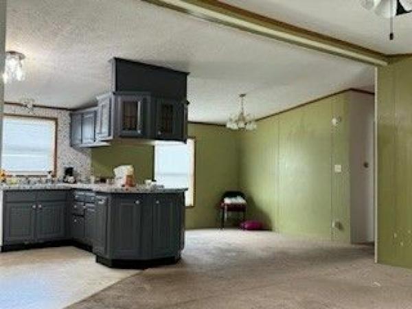 2001 SKYLINE Mobile Home