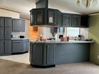 2001 SKYLINE Mobile Home