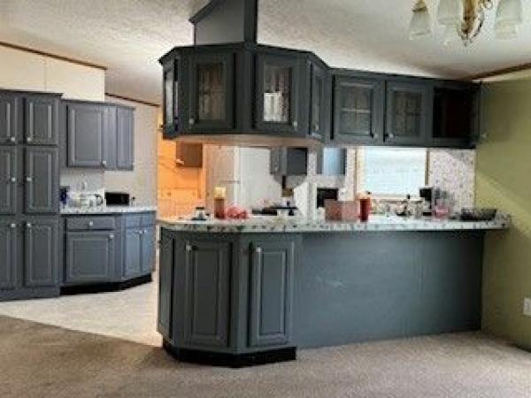2001 SKYLINE Mobile Home