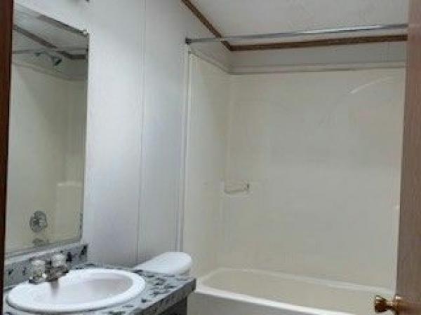 2001 SKYLINE Mobile Home