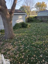 1995 BKWD MH Mobile Home