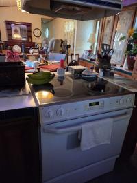 1995 BKWD MH Mobile Home