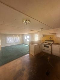 1980 Stol Mobile Home