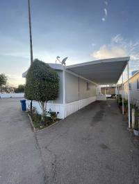 1984 Skyline Mobile Home