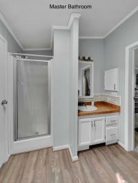 1995 Skyline Manufactured Home