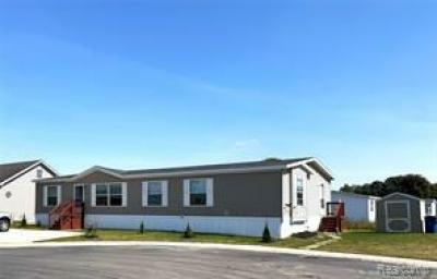 Mobile Home at 23183 Stagg Court Huron Twp, MI 48164