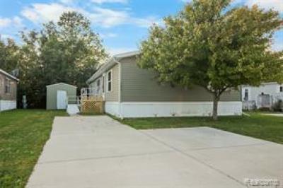 Mobile Home at 28690 Parkview Huron Twp, MI 48134