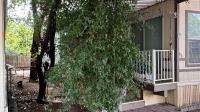 1999 Cavco Manufactured Home