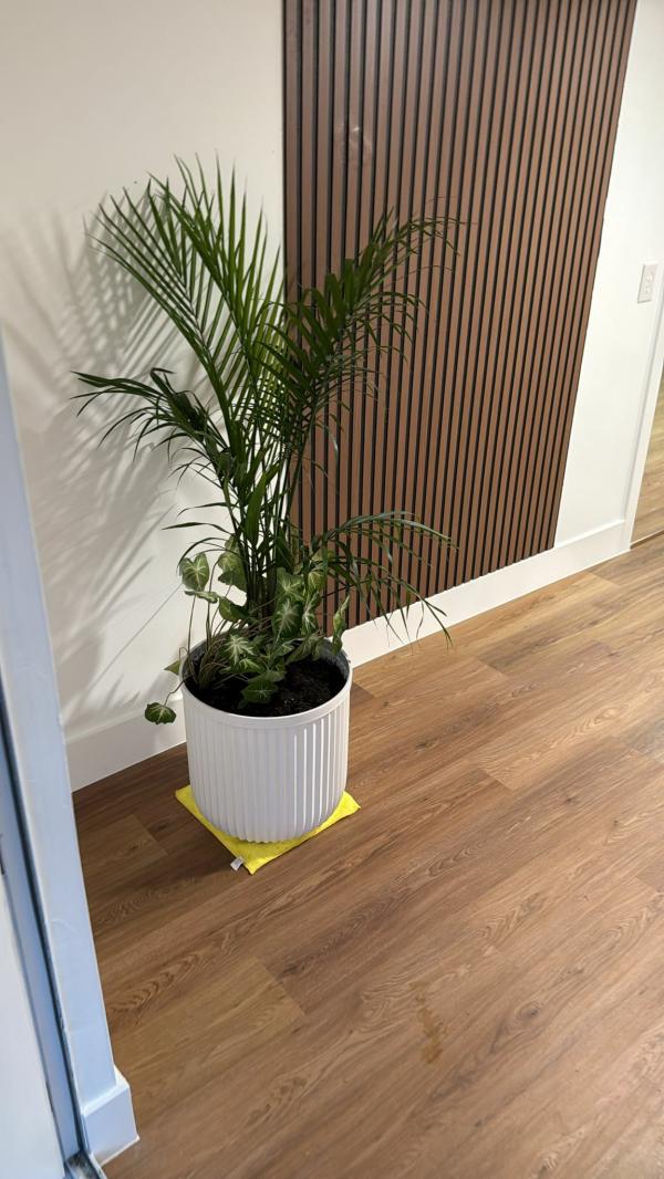 1979 Barrington HS Mobile Home