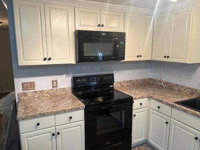 Photo 5 of 8 of home located at 303 Taho Circle Valrico, FL 33594