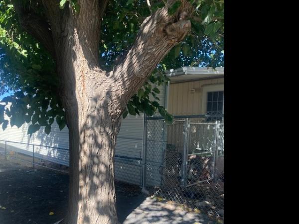 2023 SOLITARE NTA2136528 Mobile Home