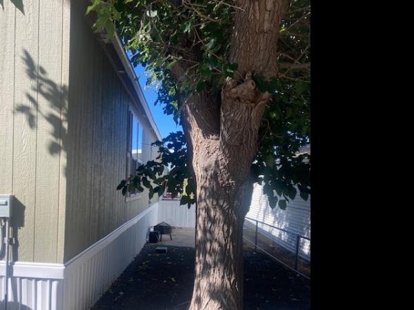 2023 SOLITARE NTA2136528 Mobile Home