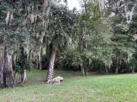 2000 Palm Harbor English Oak Manufactured Home