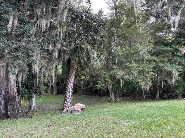 2000 Palm Harbor English Oak Manufactured Home