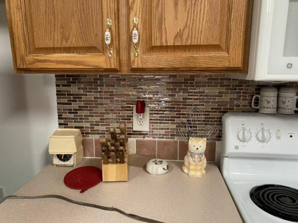 2005 Commodore Mobile Home