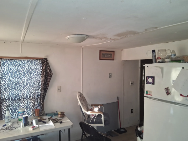 Mobile Home