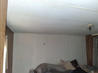 Mobile Home