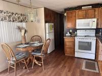 1988 Skyline Manufactured Home