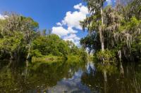 1992 Cutlass PT Mobile Home