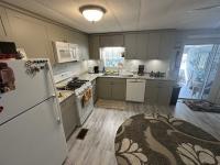1976 Skyl Mobile Home