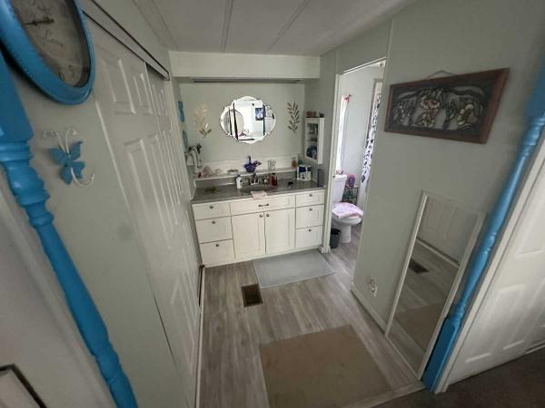 1976 Skyl Mobile Home