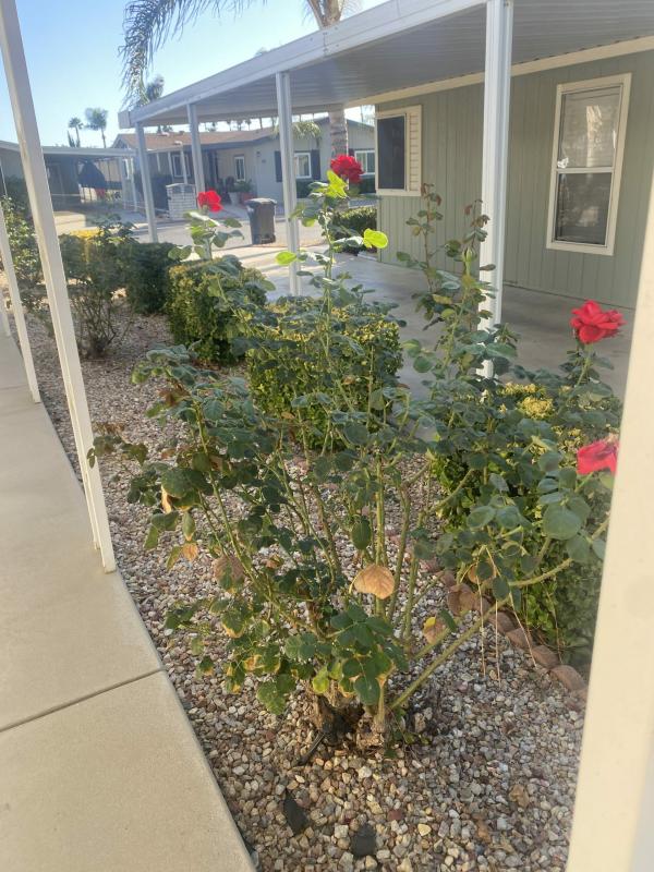 1985  Mobile Home For Sale