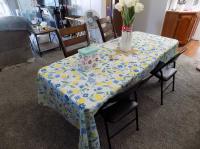 1996 Commodore Manufactured Home