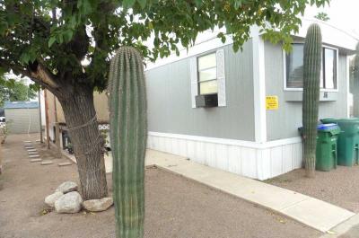 Mobile Home at 5151 N. Kain, #86 Tucson, AZ 85705