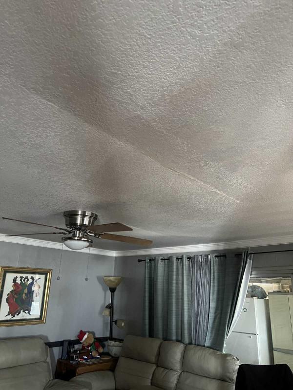1969 LAKEWOOD GOLD METAL Mobile Home